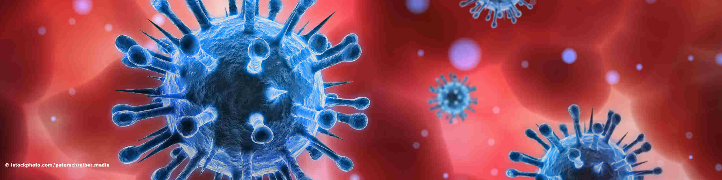 Influenza-Viren sind die Erreger der Grippe.